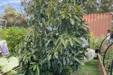 Sapphire Cottage Farm Escape