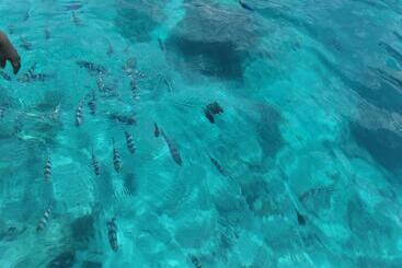 בית מלון כפרי Holiday Time Bungalows Zanzibar