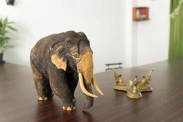 Hotel New Blue Mount View Kandy