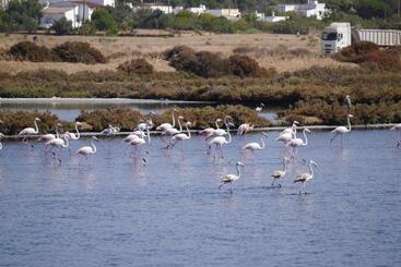 Пансион Tavira Nomad Guesthouse