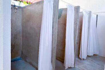 ユースホステル Vive Alegría, Dragonfly