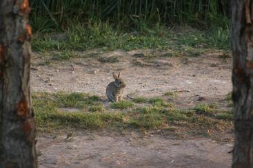 ベッドアンドブレックファースト Chambres D Hôtes Ferme De La Moinerie