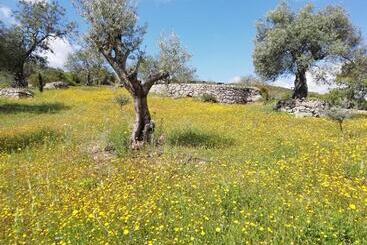 مبيت وإفطار White Egret