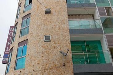 فندق Buenos Aires Central