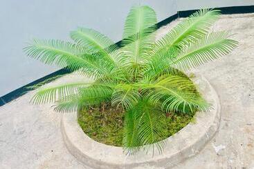 بنسيون Classic Visitors House