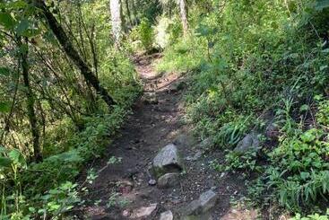 ペンション Hostal La Roca