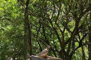 펜션 Pietra Rossa  Vale Dos Vinhedos