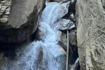 بنسيون Rare House