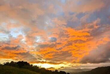 ホテル The Aurelia