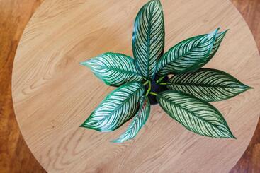 ペンション Beautiful Large Rooms In Ashford