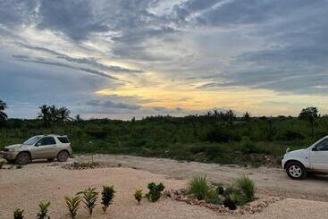 פנסיון Fumba Villa