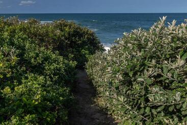 Пансион The Beach Palace Ramsgate