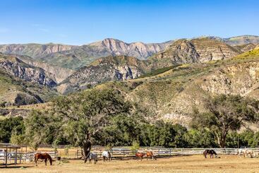 فندق Rancho Oso Rv & Camping Resort