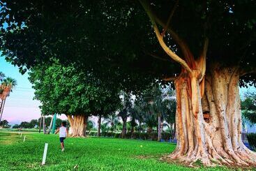 فندق Rooms At The Pecan