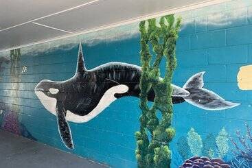 فندق Seahorse Oceanfront Inn