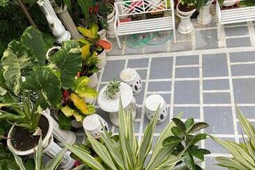 펜션 The Veehive Guesthouse