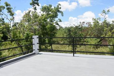 פנסיון Camellia Resort