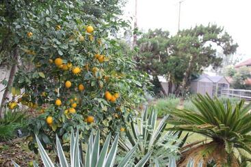 بنسيون Cute Cottage, Walk To The Studios, Pool, Bbq