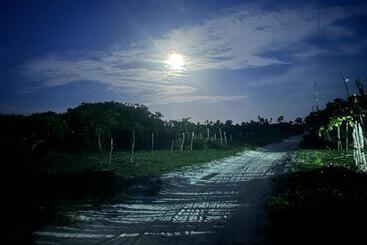 호스텔 Mandacaru Do Mangue Recanto Natural