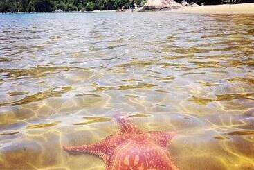 Casarão Hostel E Pousada