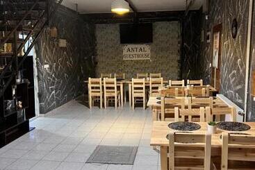 Пансион Antal Guesthouse
