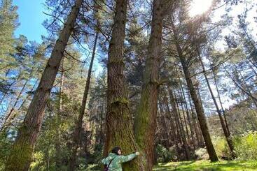 Pension Habitación Para 4, Acogedor, Familiar, Equipado, Baño Compartido