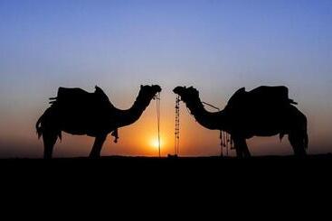 Safari Camp Osian   Sand Dunes Camps Resort Near Jodhpur Rajasthan