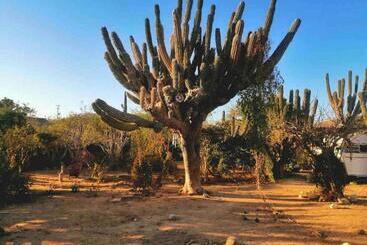 ユースホステル Boat House At Espacio Amor