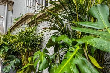 Sr Luis Hotel Boutique Zona Héroes Recepción Digital 24h