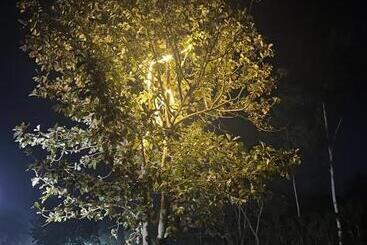 Dega Resort By 6 Avengers