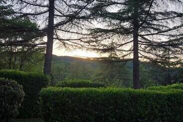 Glicine Ad Antico Casale  700