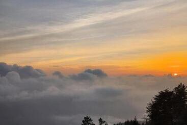 민박 Cedar Cottage