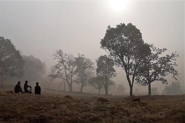Kadumane Hills Pure Veg Resort