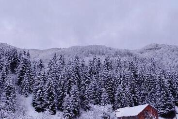 بنسيون садиба квітка карпат