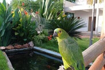 ペンション Pousada Farol