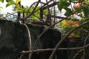 Пансион Villa Sunrise