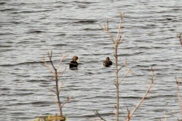 ベッドアンドブレックファースト Peperina Lago Los Molinos