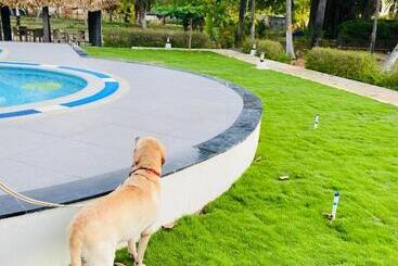 Joe S Beach Shack Beach Resort, Ramanathapuram