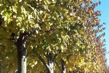 Пансион Vitória S House