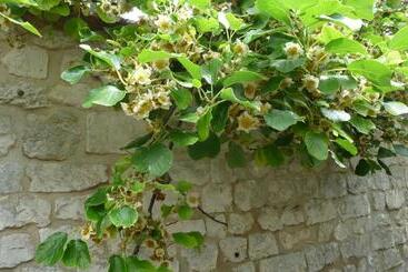 민박 Maison D Hôtes Les Coquelicots