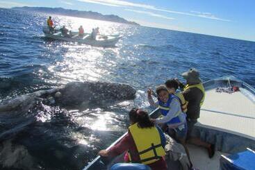 ホテル Isabela, Mag Bay