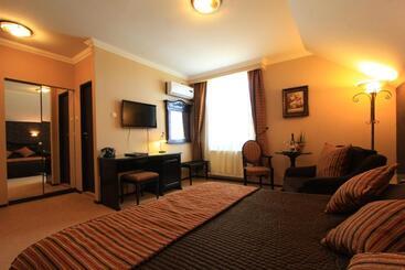 Пансион Conacul Benke