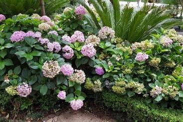 Pheasant Hill Bed And Breakfast