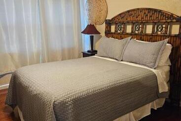 Отель Oasis Palms Resort