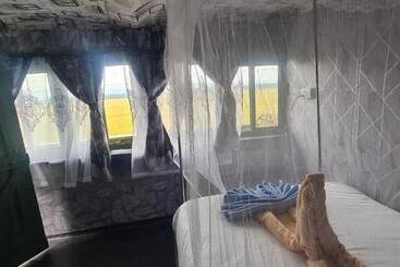 אתר נופש Mambo Game View