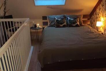 פנסיון Appartement Ruinerwold