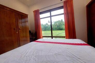 פנסיון The Villa Green Grand