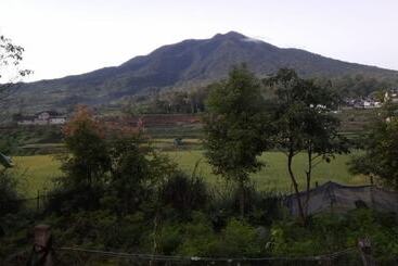 Bungo Bed & Breakfast Workation