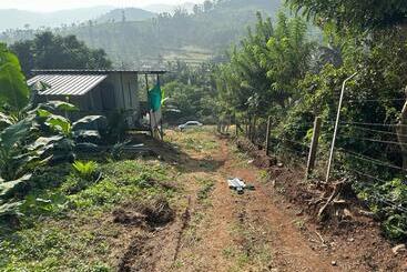 Misty Hills Farm Stay