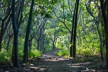 Blue Serenity Hotel Nosara